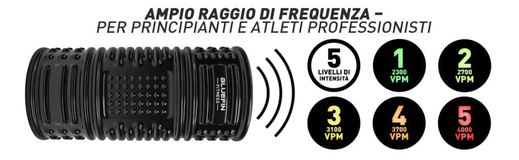 Fitness Equipment Shop | Massage Vibration Plates for Weight Loss and Fitness