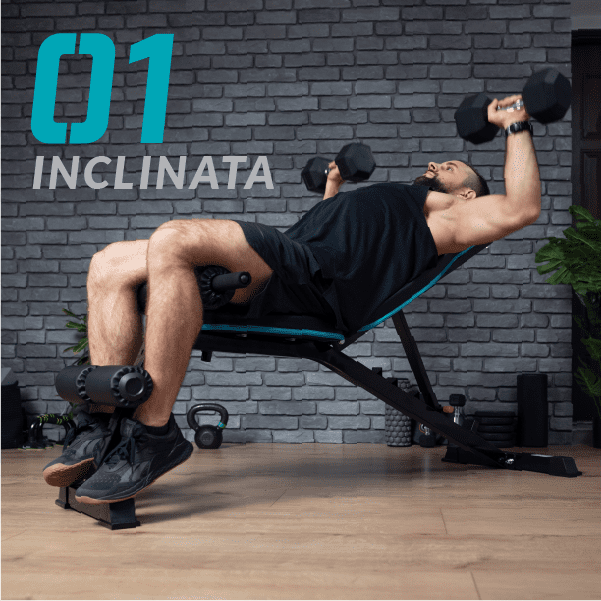 Bluefin 3d vibration plate