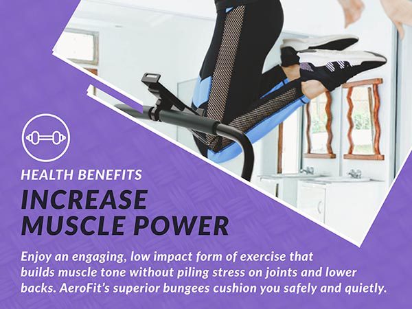 Fitness Equipment Shop | Massage Vibration Plates for Weight Loss and Fitness